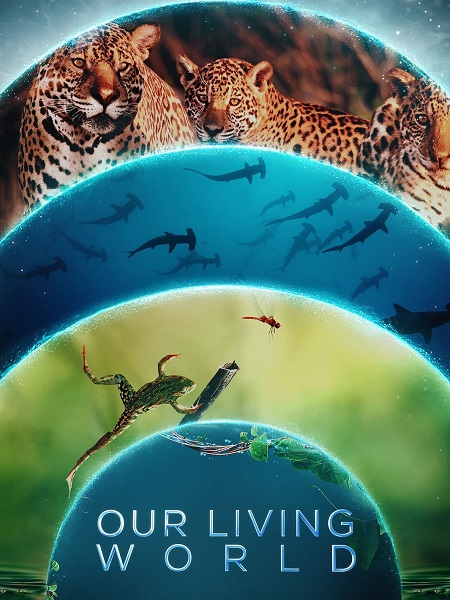 مشاهدة مسلسل Our Living World الحلقة 4 مترجمة