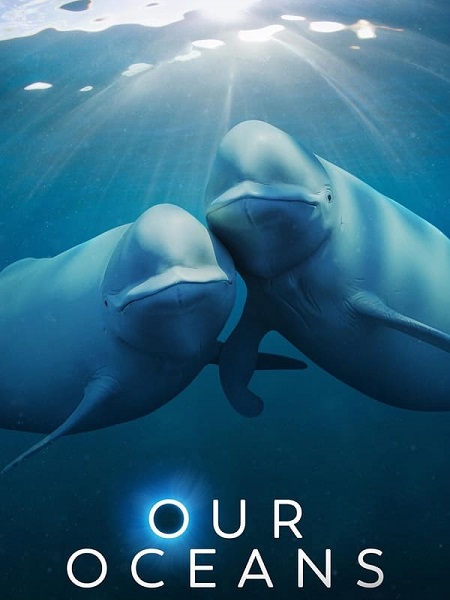 مشاهدة مسلسل Our Oceans الحلقة 2 مترجمة